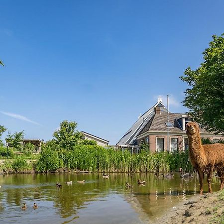 Recreatieboerderij Hoeve Noordveld Oude Bildtzijl Ngoại thất bức ảnh