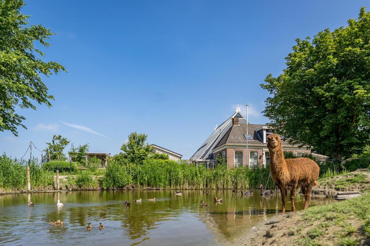 Recreatieboerderij Hoeve Noordveld Oude Bildtzijl Ngoại thất bức ảnh